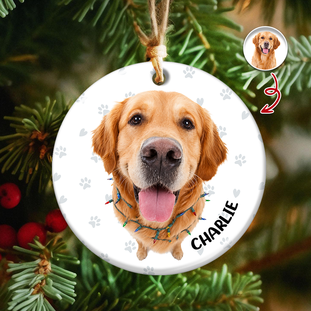 Personalized Pet Lovers, Dog and Cat Photo Christmas Gifts - Real 3D Ceramic Ornament
