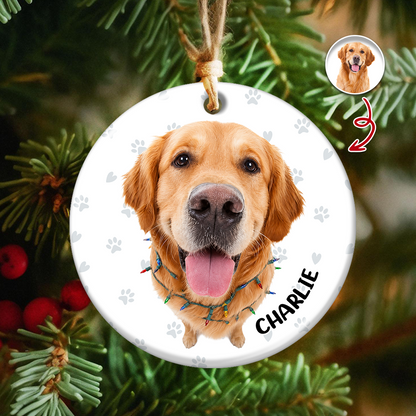 Personalized Pet Lovers, Dog and Cat Photo Christmas Gifts - Real 3D Ceramic Ornament