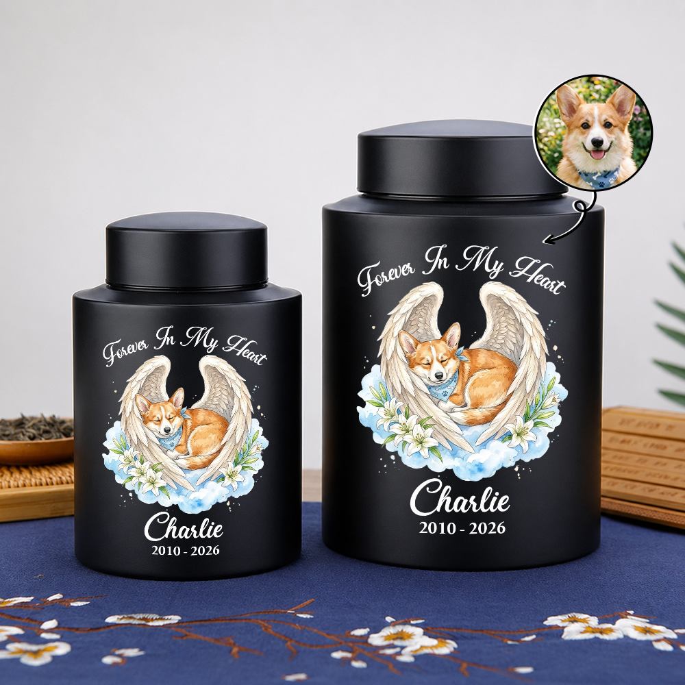 Memorial Upload Dog Cat Custom Photo - Remembrance Gift - Keepsake Wings Urn for Ashes - Stainless Steel Urn