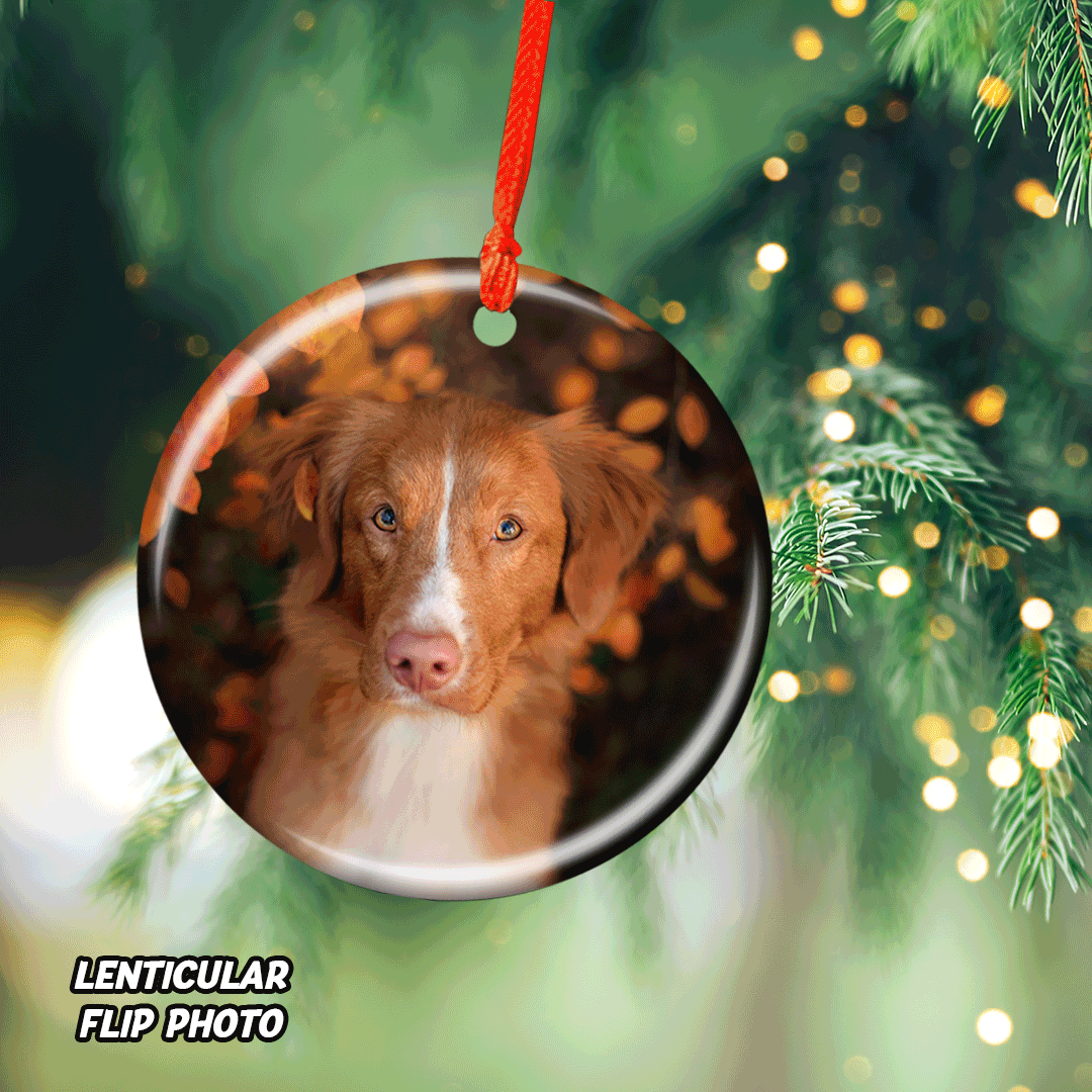Our Cute Pet - Custom Photo Lenticular Ornaments