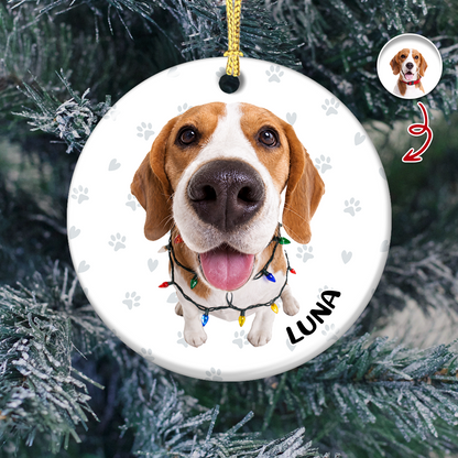 Personalized Pet Lovers, Dog and Cat Photo Christmas Gifts - Real 3D Ceramic Ornament
