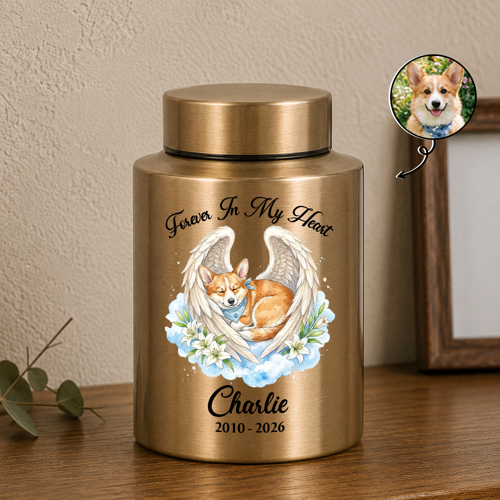 Memorial Upload Dog Cat Custom Photo - Remembrance Gift - Keepsake Wings Urn for Ashes - Stainless Steel Urn