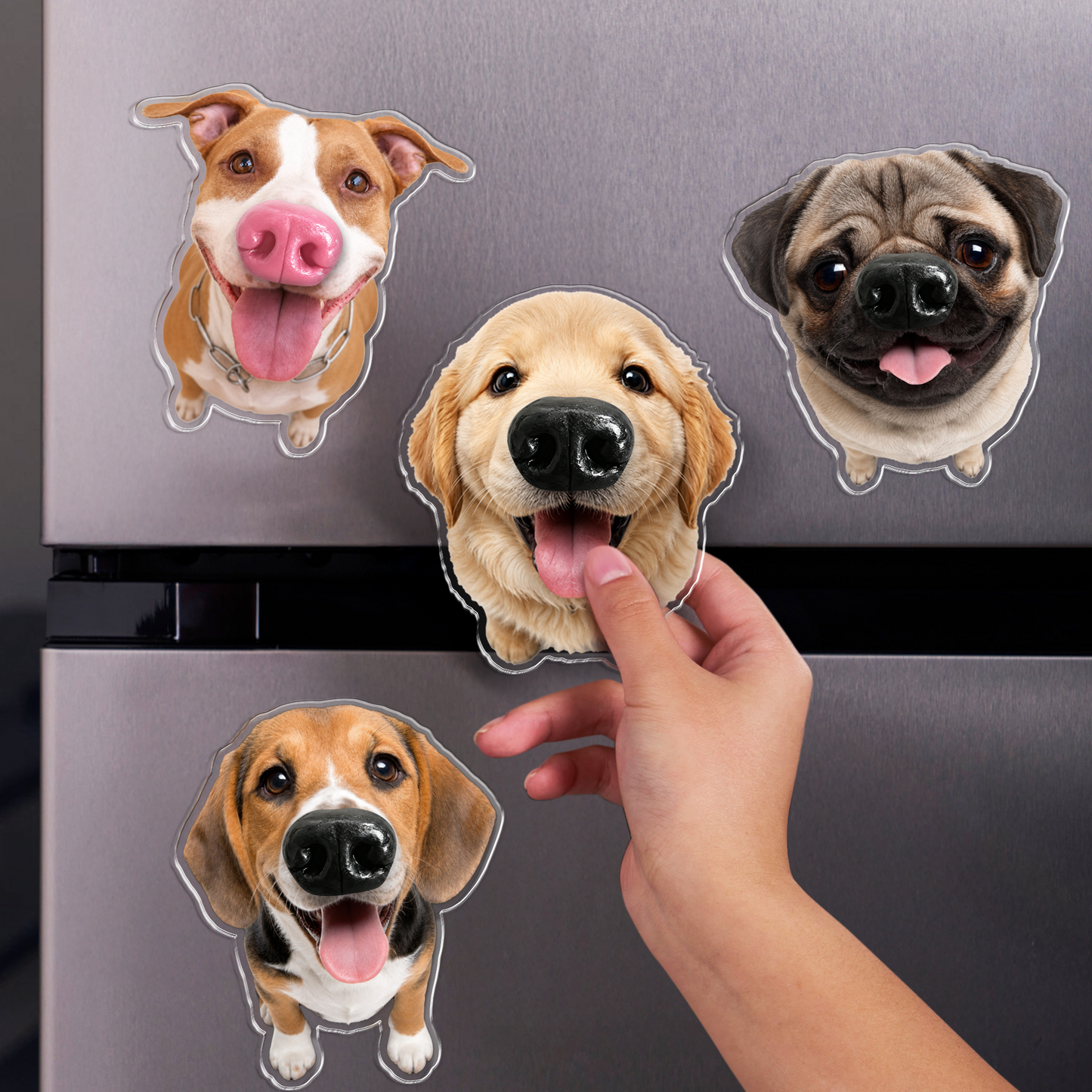 Personalized Funny Dog Nose Squishy Fridge Magnet - Custom Squeeze Magnet, Kitchen Decor