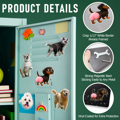 Personalized Funny Dog Butt Squishy Belly Fridge Magnet - Custom Squeeze Magnet, Kitchen Decor