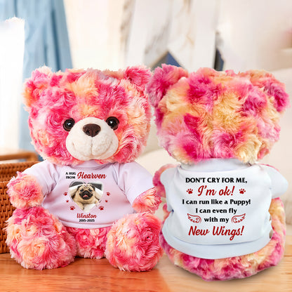 Personalized "Don't Cry For Me" memorial teddy bear plush, a comforting bereavement gift.