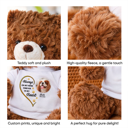 Personalized memorial teddy bear with paw and angel wings for pet loss remembrance.