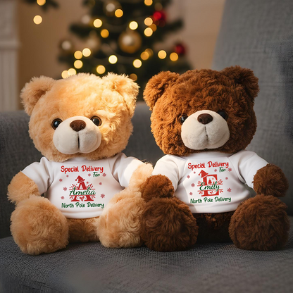 Personalized teddy bear with custom name and message, a special bear friend plush.